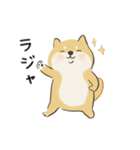 ゆるかわ柴犬の日常で使えるスタンプ（個別スタンプ：4）
