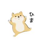 ゆるかわ柴犬の日常で使えるスタンプ（個別スタンプ：5）
