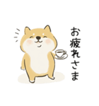 ゆるかわ柴犬の日常で使えるスタンプ（個別スタンプ：8）
