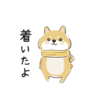 ゆるかわ柴犬の日常で使えるスタンプ（個別スタンプ：9）
