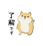 ゆるかわ柴犬の日常で使えるスタンプ（個別スタンプ：11）
