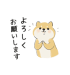 ゆるかわ柴犬の日常で使えるスタンプ（個別スタンプ：12）