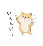 ゆるかわ柴犬の日常で使えるスタンプ（個別スタンプ：15）