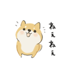 ゆるかわ柴犬の日常で使えるスタンプ（個別スタンプ：17）