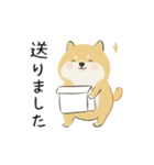 ゆるかわ柴犬の日常で使えるスタンプ（個別スタンプ：21）