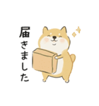 ゆるかわ柴犬の日常で使えるスタンプ（個別スタンプ：22）
