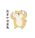 ゆるかわ柴犬の日常で使えるスタンプ（個別スタンプ：31）