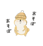 ゆるかわ柴犬の日常で使えるスタンプ（個別スタンプ：34）