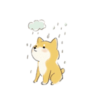 ゆるかわ柴犬の日常で使えるスタンプ（個別スタンプ：35）