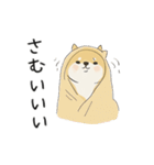 ゆるかわ柴犬の日常で使えるスタンプ（個別スタンプ：36）