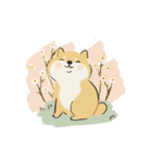 ゆるかわ柴犬の日常で使えるスタンプ（個別スタンプ：37）