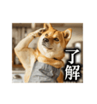 【▶︎動く】柴犬ママ（個別スタンプ：1）