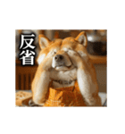 【▶︎動く】柴犬ママ（個別スタンプ：7）