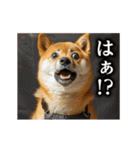 【▶︎動く】柴犬ママ（個別スタンプ：13）