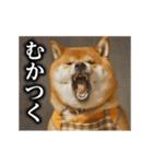 【▶︎動く】柴犬ママ（個別スタンプ：14）