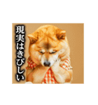 【▶︎動く】柴犬ママ（個別スタンプ：17）