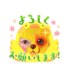 cocoart「ハンブンウソ」cozo cobun（個別スタンプ：24）