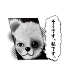 cocoart「ハンブンウソ」cozo cobun（個別スタンプ：26）