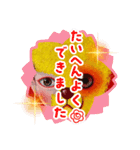 cocoart「ハンブンウソ」cozo cobun（個別スタンプ：35）