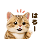 ぬいぐるみ風ねこ❤ずっと使える日常会話（個別スタンプ：4）