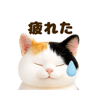 ぬいぐるみ風ねこ❤ずっと使える日常会話（個別スタンプ：12）