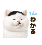 ぬいぐるみ風ねこ❤ずっと使える日常会話（個別スタンプ：14）