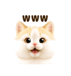 ぬいぐるみ風ねこ❤ずっと使える日常会話（個別スタンプ：18）