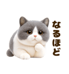 ぬいぐるみ風ねこ❤ずっと使える日常会話（個別スタンプ：19）