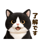 ぬいぐるみ風ねこ❤ずっと使える日常会話（個別スタンプ：20）