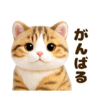 ぬいぐるみ風ねこ❤ずっと使える日常会話（個別スタンプ：24）