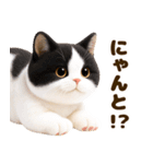 ぬいぐるみ風ねこ❤ずっと使える日常会話（個別スタンプ：30）