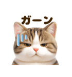 ぬいぐるみ風ねこ❤ずっと使える日常会話（個別スタンプ：32）