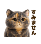 ぬいぐるみ風ねこ❤ずっと使える日常会話（個別スタンプ：34）