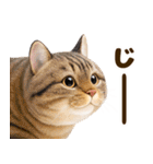 ぬいぐるみ風ねこ❤ずっと使える日常会話（個別スタンプ：36）