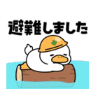 もちもちアヒルさんの防災スタンプ（個別スタンプ：18）