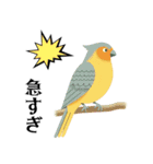 ハッピー鳥さんスタンプ 3（個別スタンプ：10）
