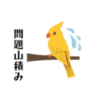 ハッピー鳥さんスタンプ 3（個別スタンプ：14）