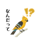 ハッピー鳥さんスタンプ 3（個別スタンプ：18）
