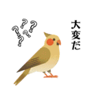 ハッピー鳥さんスタンプ 3（個別スタンプ：22）