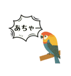 ハッピー鳥さんスタンプ 3（個別スタンプ：36）