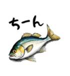 魚！魚！魚！（個別スタンプ：2）