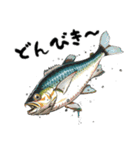 魚！魚！魚！（個別スタンプ：3）