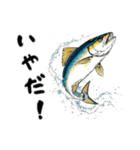 魚！魚！魚！（個別スタンプ：5）