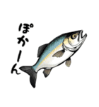 魚！魚！魚！（個別スタンプ：9）