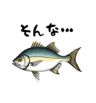魚！魚！魚！（個別スタンプ：10）