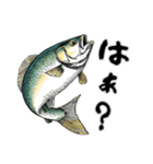 魚！魚！魚！（個別スタンプ：13）