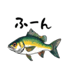 魚！魚！魚！（個別スタンプ：20）