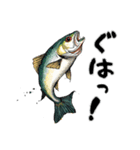 魚！魚！魚！（個別スタンプ：22）