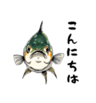 魚！魚！魚！（個別スタンプ：26）