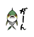 魚！魚！魚！（個別スタンプ：29）